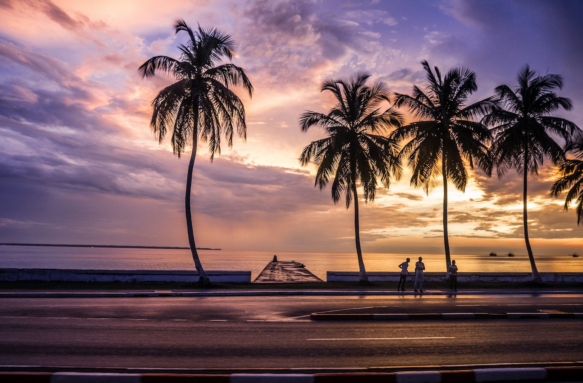 Palm-lined seafront at sunset